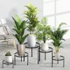 CADANI 5-Pack Metal Plant Stands for Outdoor Indoor, Anti-Rust Iron