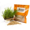 Thunder Acres Organic Winter Rye Seeds, Non-GMO (1 lb)