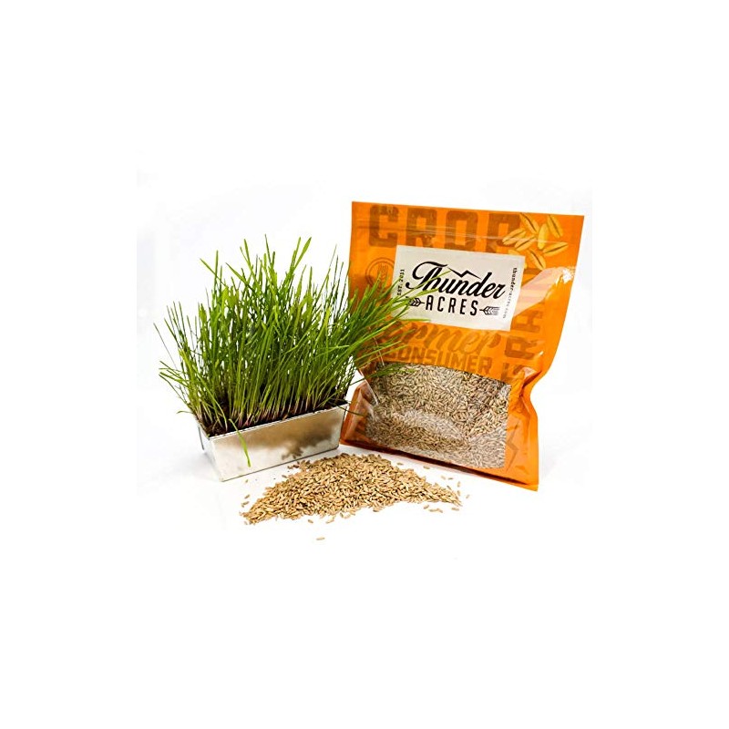 Thunder Acres Organic Winter Rye Seeds, Non-GMO (1 lb)