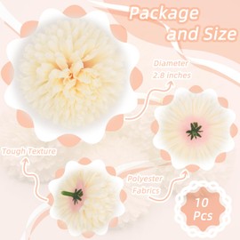 10Pcs Champagne Artificial Chrysanthemums Ball Flowers,Artificial Flowers Stemless Faux Ball Chrysanthemum for Home,Lifelike Artificial Chrysanthemum Ball Flowers for DIY Wedding Party Decoration