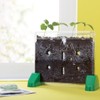 Educational Insights Sprout & Grow Window - See-Through Sprouts Growing