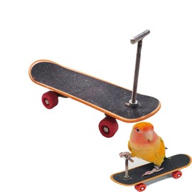 Changyeah Skateboard Bird Toys,1 Pcs Mini Parrot Reusable Plastic Bird,Educational Perch Training Skateboard, Funny Intelligence Toy for Birds Parakeet Cockatiels