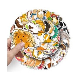 50 PCS Stickers for Guinea Pig,Guinea Pig Stickers,Teens Boys and Girls Sticker Pack Vinyl Skateboard Guitar Door Laptop Luggage Car Bike Water Bottle Birthday Party Supplies Stickers