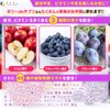 FINE JAPAN Jelly Supplement Daily Fruit + Iron 200g (10g