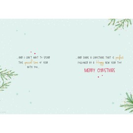 Piccadilly Greetings Christmas Card To my Gorgeous Wife Bear storyboard - 9 x 6 inches