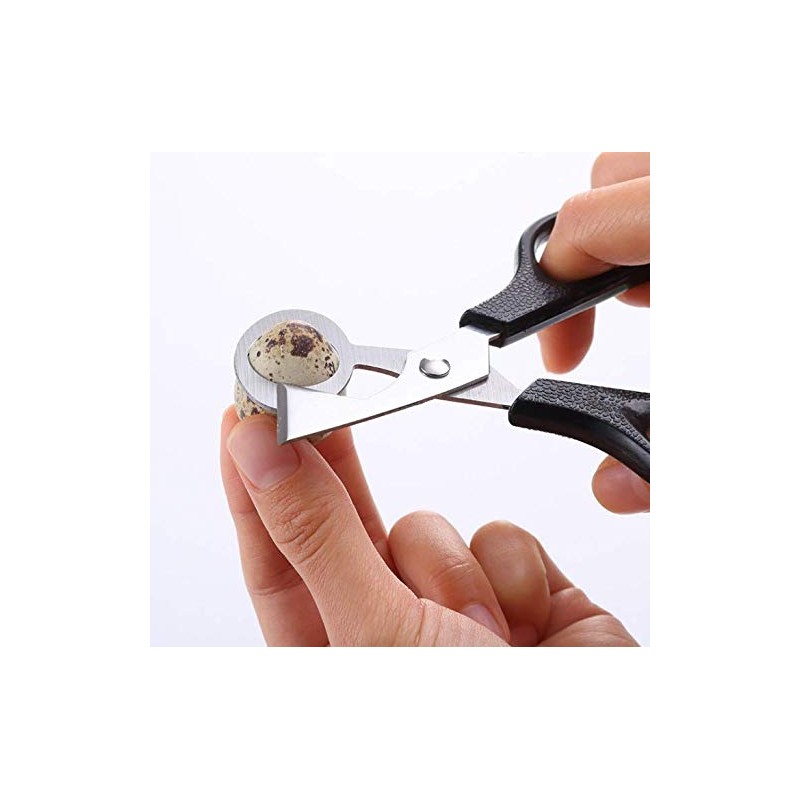 Stainless Steel Quail-Egg Cutter Scissors Kitchen Egg Shears Tool-4PCS