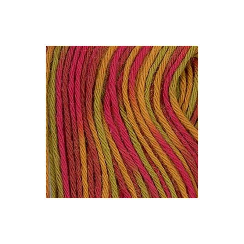 Olympus Sashiko-20m Skein- Short Pitch Variegated Thread (Brick Red, Rust