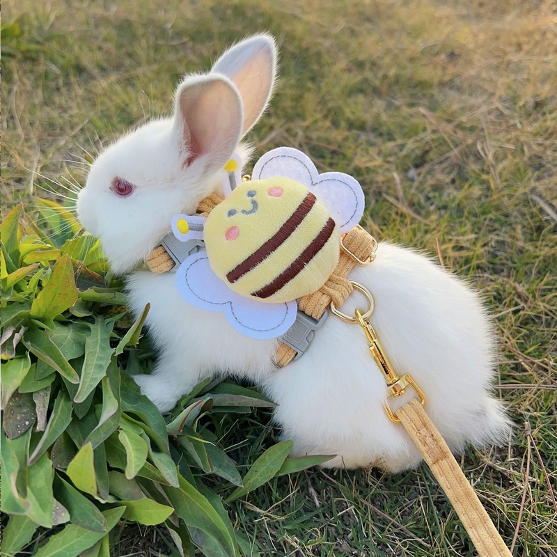 Hayaww Rabbit Harness and Leash Adjustable Harness for Rabbits Rabbit