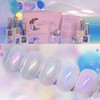 From the Nail Moon Crystal 5 Piece Set Powder Glitter