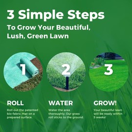 Growtrax Fine Fescue Mixture Grass Mat - 200 Sq Ft - Jumbo Roll for Home Front and Back Lawn Repair and Replacement