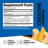 Nutricost Creatine + Aminos 30 Servings (Peach Mango Flavored) -