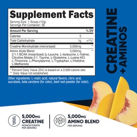 Nutricost Creatine + Aminos 30 Servings (Peach Mango Flavored) - 5,000mg Creatine Monohydrate + 5000mg Amino BCAA Blend Per Serving | Nutricost