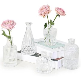 Glass Bud Vase Set of 5, Green Small Flower Vases for Centerpieces in Bulk, Mini Vintage Vase for Rustic Wedding, Home,Table Decoration - Color: Clear