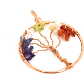 '"Worry 7 What Is Chakras Drop Hook Earrings (Copper)