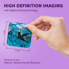 1 x Square MDF Fridge Magnet - Seal Group Underwater Seals 16874