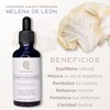 Extracto de Reishi, Shiitake y Melena de León de Doble