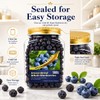 Freeze-Dried Whole Blueberries (6.6 oz / 187g) - Natural Crunchy