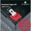 VICI Battery 12V 12AH F2 Battery for Wilson Tennis Ball