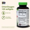 Herbs Etc. ChlorOxygen Chlorophyll Concentrate - Aids Healthy Blood Circulation