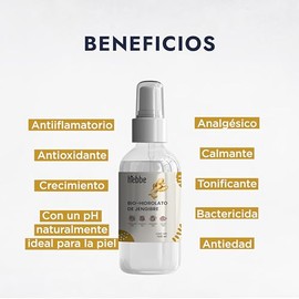 HEBBE - Hidrolato de Jengibre 120 ml | Antiinflamatorio | Antioxidante | Analgésico | Calmante | Tonificante | pH Natural | Ideal para la Piel | Bacte
