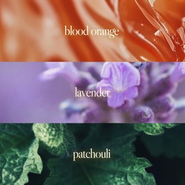 Noteworthy n,057 – Bold Citrus & Warm Woods