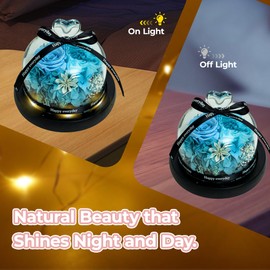 domaxarts Eternal Rose in Rotating LED Glass Dome - Real Preserved Roses with 6 LED Lights, Battery Operated Valentine's for Women - Home Décor & Anniversary Present（Blue）