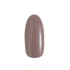 PRE GEL Color EX Walnut 0.1 oz (3 g) PG-CE910