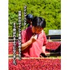 SAZA COFFEE Sazaguatemala Coffee Powder 7.1 oz (200 g) Saza