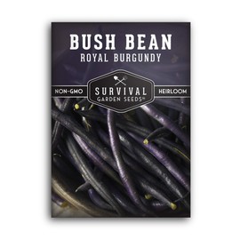 Royal Burgundy Bush Bean Seeds for Planting - Plant & Grow Stringless Purple Bush Beans in Your Home Vegetable Garden - Non-GMO Heirloom Variety - Survival Garden Seeds (1 Pack)