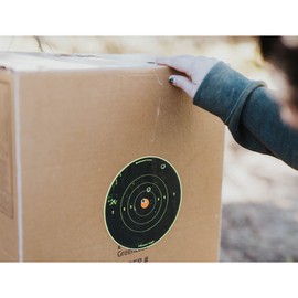 Birchwood Casey Shoot-N-C Bull's Eye Target (8-Inch) Pack of 6 with 72 Pasters