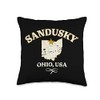 Awesome Sandusky Ohio Designs and Souvenirs Sandusky Ohio Distressed Design