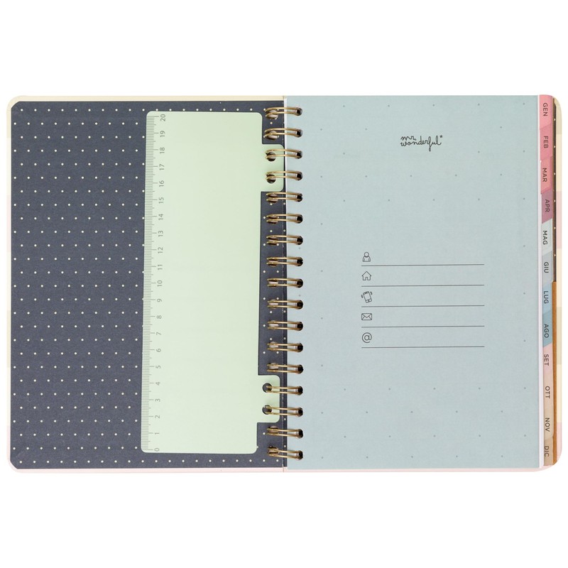 Mr. Wonderful - Office 2025 Weekly Diary - Dare to