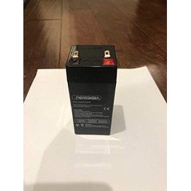 Battery Torrey Rechargeable for LPC-40L/ PC-40L New Version with 4V