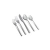 Cambridge Mirror Zaylen 20-Piece Flatware Set, Service for 4 (305920CNB12DS)