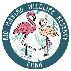Blue Heron Flamingos Rio Maximo Wildlife Reserve Car Truck Window Bumper Sticker Decal - Turquoise
