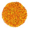 Mystic Sprinkles Colors of Autumn Nonpareils Mix 3.8oz Bottle