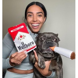 Nestpark Muttboro Doggy Cigs Funny Dog Toys - Parody Plush Squeaky Crinkle Interactive Dog Toy - Hide and Seek Treat Hiding Burrow Puzzle Toy for Stimulating Enrichment Activity