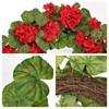 Arborus 19.6-Inch Geranium Wreath with Lush Greenery Faux Wreath –