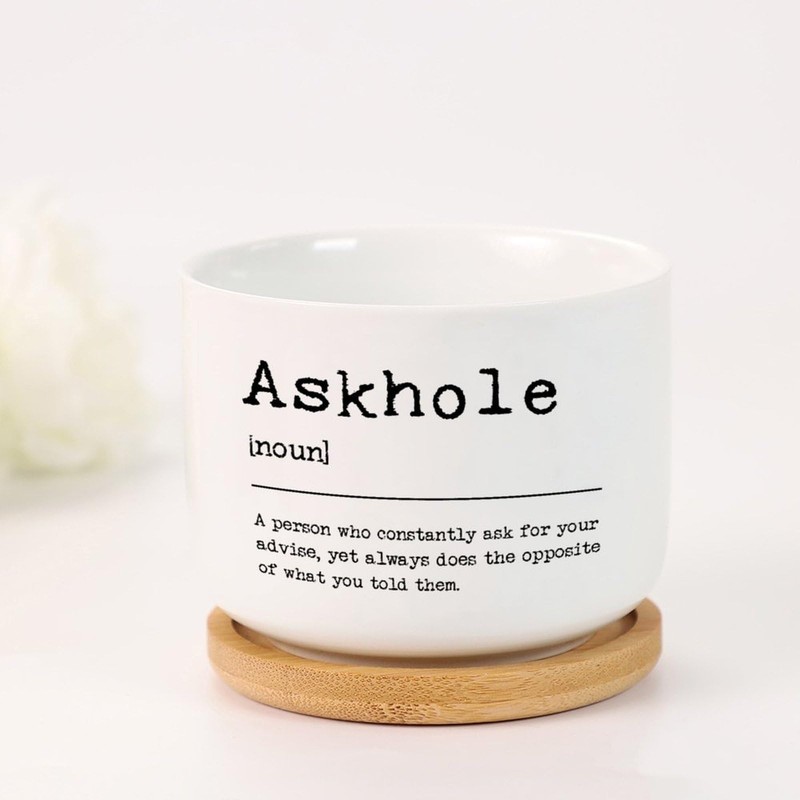 DecStic Askhole Definition Planter Ceramic Bible Verse Round Flower Pots