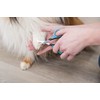 Trixie Face and Paw Scissor for Dog, 9 cm