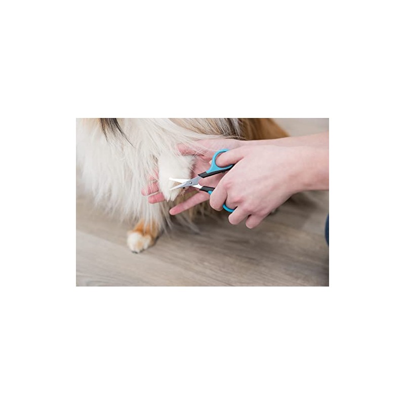 Trixie Face and Paw Scissor for Dog, 9 cm