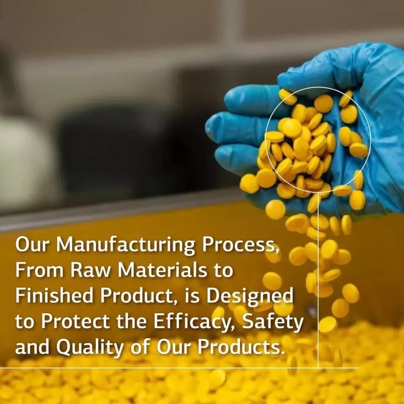 Standard Process Ferrofood Whole Food Antioxidant, Healthy Blood and Hemoglobin