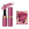 Clásico Mate Labial Set Duradero Resistente Al Agua