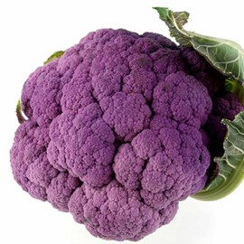 Graffiti Hybrid Cauliflower Garden Seeds - 100 Seeds - Non-GMO, Purple - Vegetable Gardening Seeds by Mountain Valley Seeds