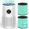 Tailulu D10 Replacement Filter,Air Purifier Filter for Tailulu D10 Air