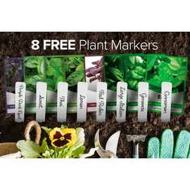 Gardeners Basics, Basil Seeds for Planting Home Garden - 8 Variety Herb Pack Genovese, Large Leaf, Lemon, Thai, Red Rubin, Cinnamon, Sweet and Purple Opal Basil Herb Seeds for Indoors & Outdoors