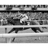 SECRETARIAT 8 x 10 PHOTOS ~ Belmont Stakes ~ Jockey