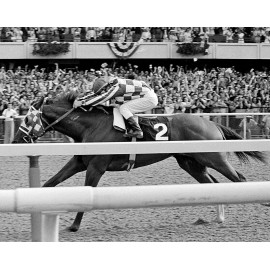SECRETARIAT 8 x 10 PHOTOS ~ Belmont Stakes ~ Jockey Ron Turcotte ~ Lot of (2)