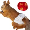 TTMIMIK Adjustable Small Pet Diapers, Reusable Washable Squirrel Diapers Absorbent
