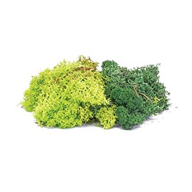 Hornby R7194 Lichen - Green Mix for Model Railway OO Gauge, Model Train Accessories for Adding Scenery, Dioramas, Woodland, Buildings and More, Model Making Kits - 1:76 Scale Model Accessory